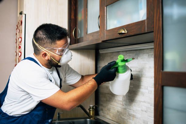 Best Pest Control Near Me in Malone, FL