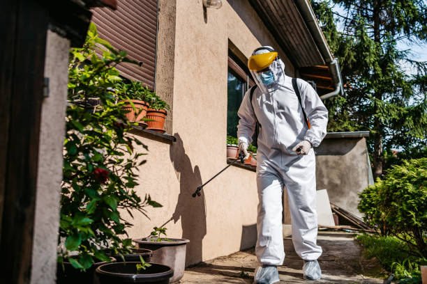 Best Bird Control  in Malone, FL