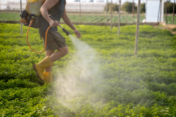 Best Pest Inspection Near Me  in Malone, FL